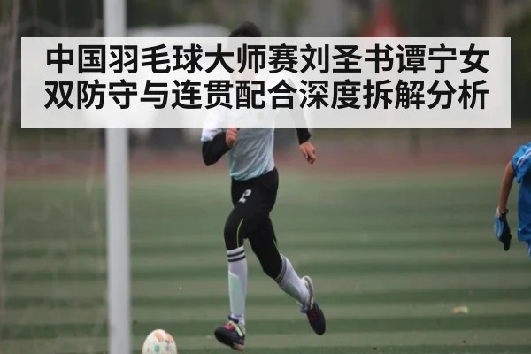 中国羽毛球大师赛刘圣书谭宁女双防守与连贯配合深度拆解分析